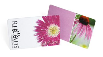 plastic cards with paper finish