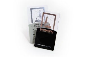 Prominent HR Plastic Business Card